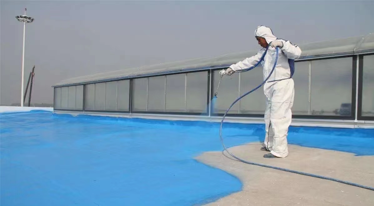 专业防水，实惠之选 深圳龙邦屋顶防水涂料厂家与公司服务解析